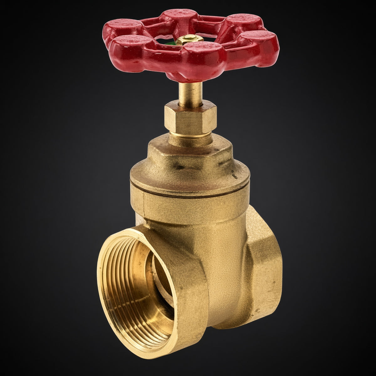 Brass Valve Gate